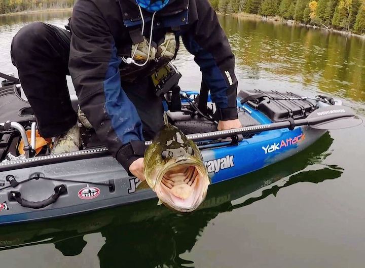 Baits and lures: what to use and why