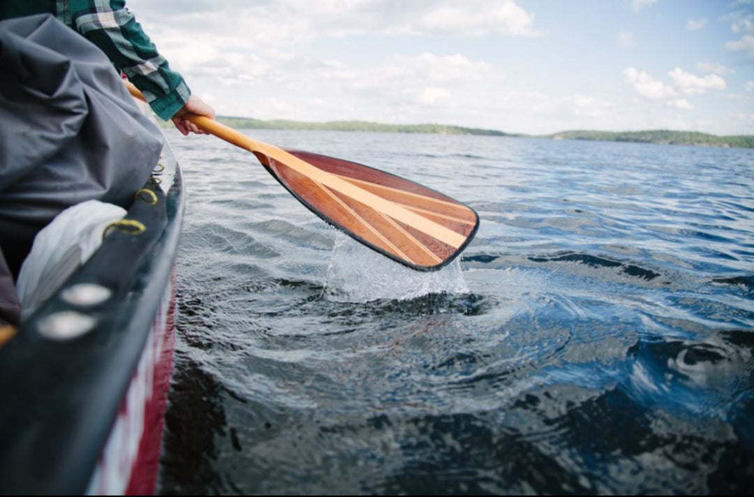 The Alabama Scenic River Trail: 631 Miles of Adventure on the Water
