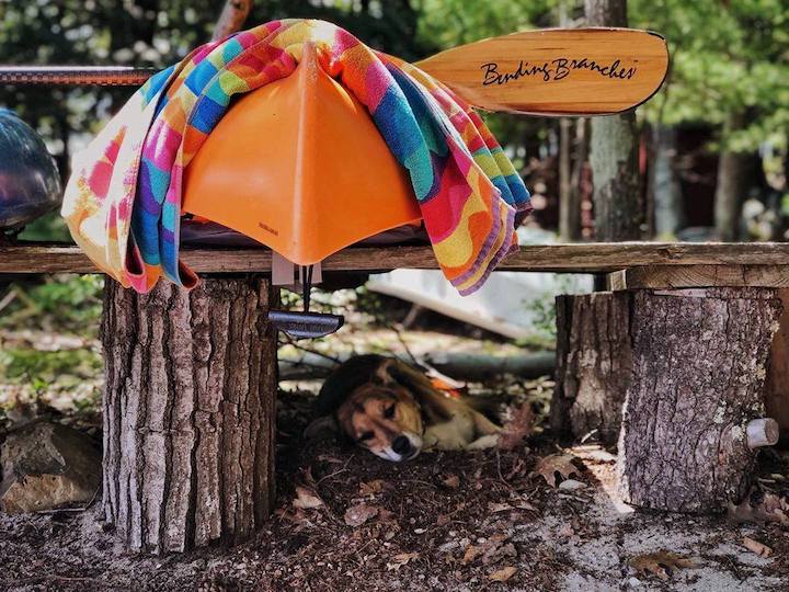 Canoe Camping with Your Dog