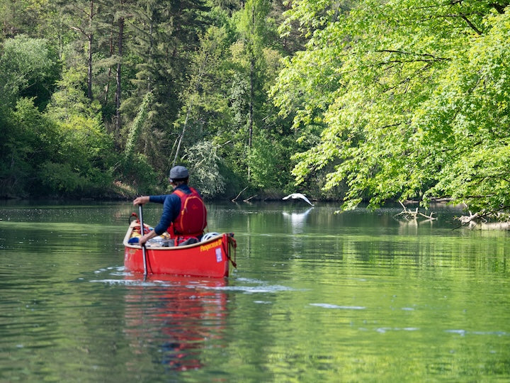 Bird & Wildlife Watching While You Paddle