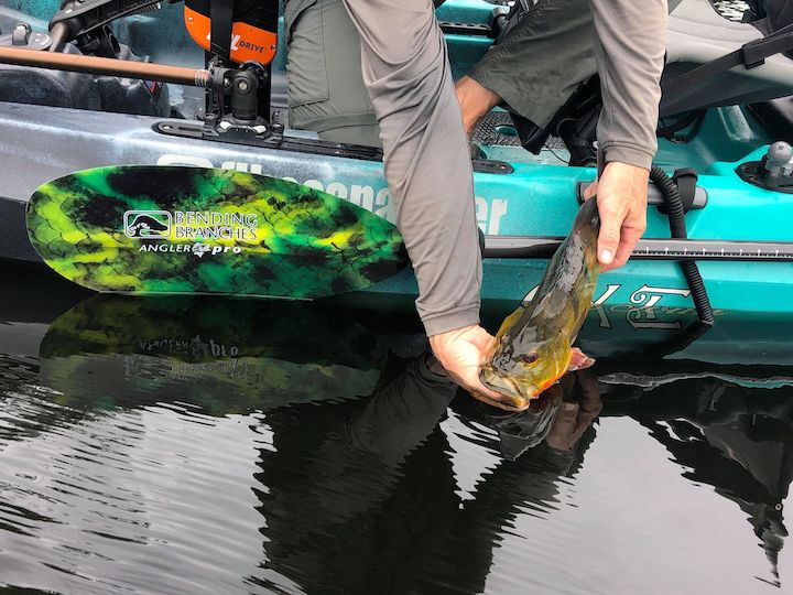 Kayak Fishing Podcast Round-Up