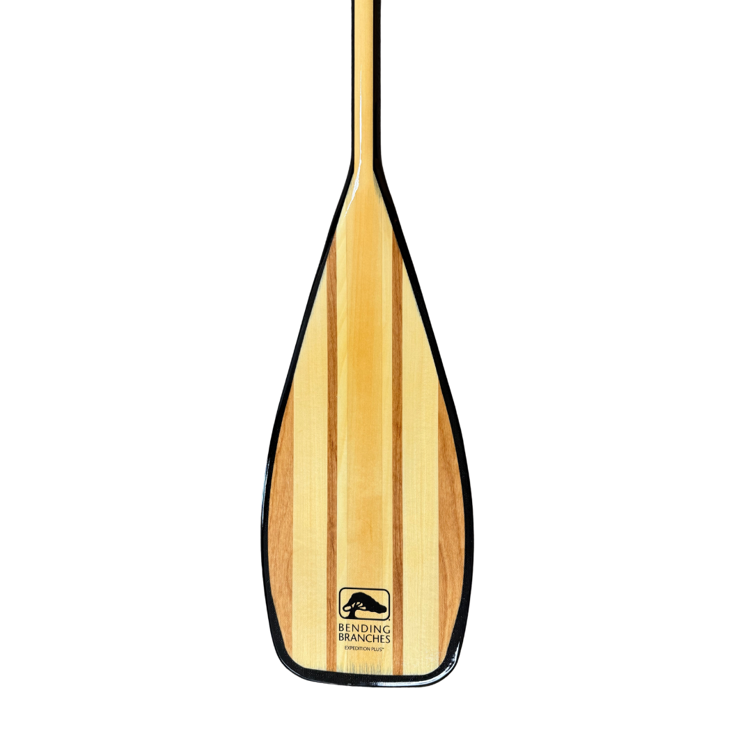 Expedition Plus wooden canoe paddle blade from the front - new