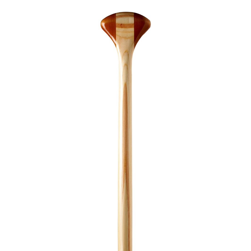 Explorer Plus wooden canoe paddle grip from the front